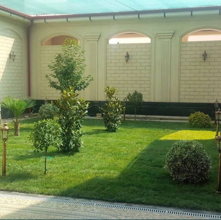 Газон вишего качества