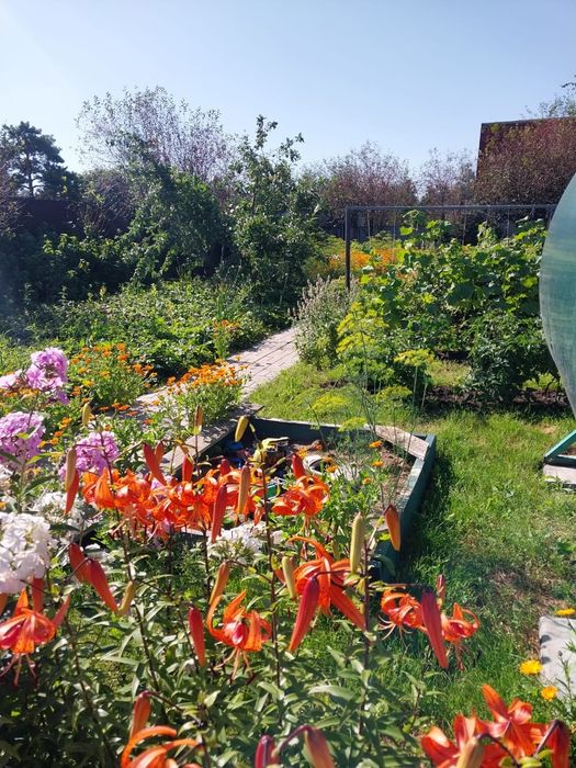 Продам дачу 7 соток