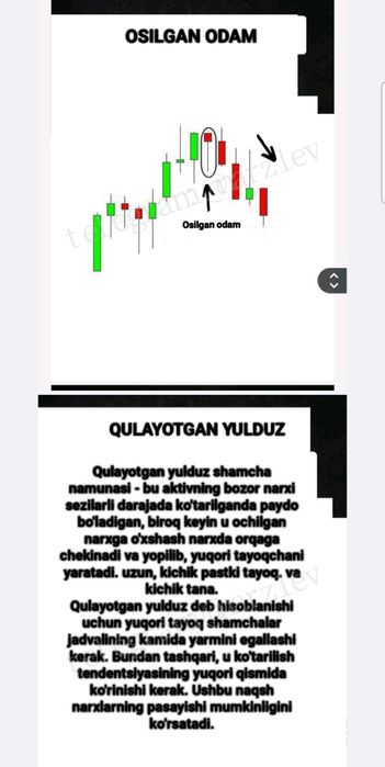 TU ZONA grafik taxlil