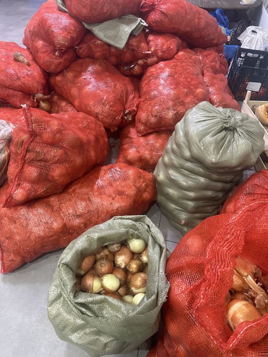 Лук репчатый по 150 тг кг