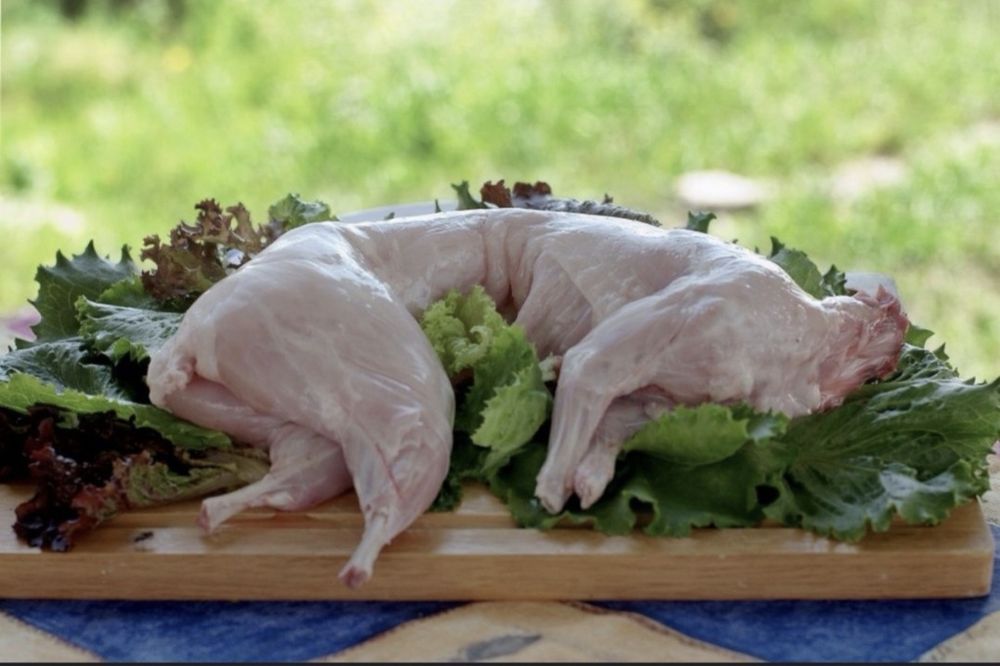 Кролики.Мясо кролика.