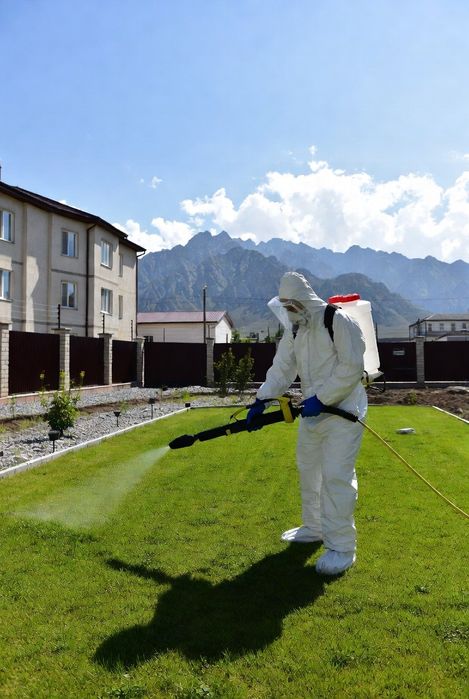 Уничтожение Клещей Оброботка участка