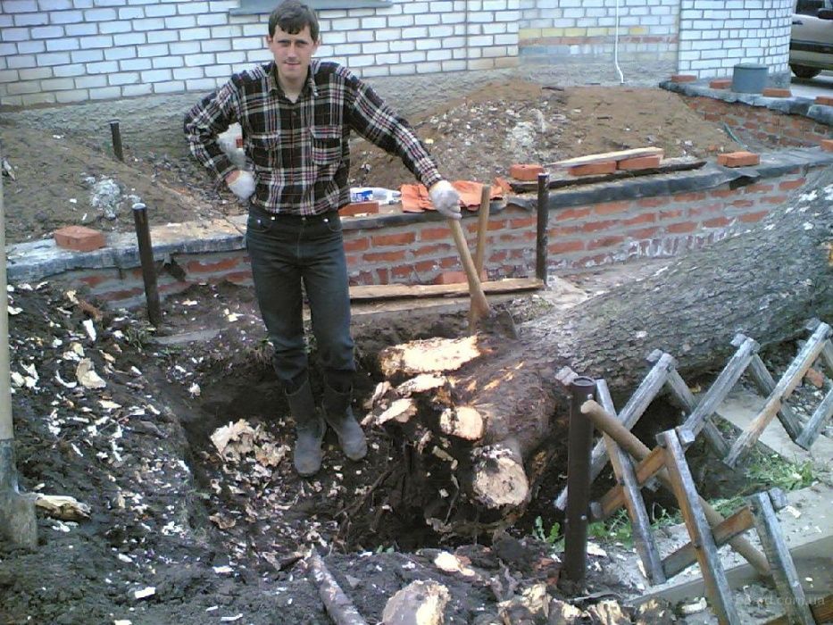 Бензопила: пилю аварийные деревья в частном секторе