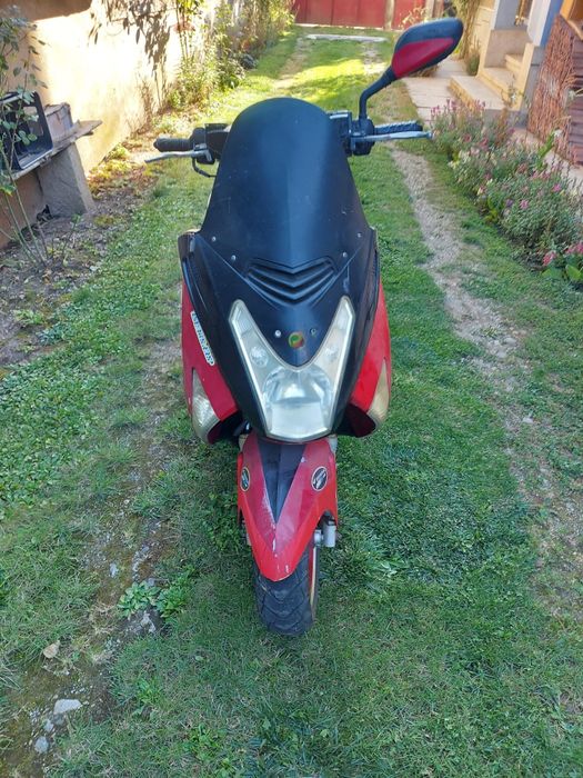 Scutere de vanzaré 80 cm in acte de 50. Carte identitate