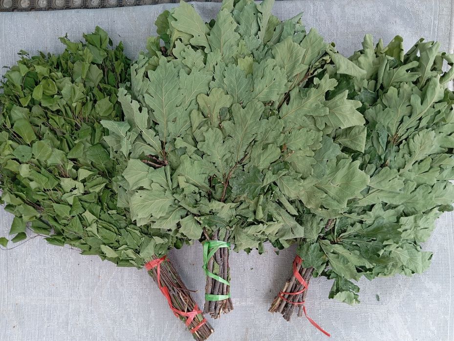 Травы   для бань