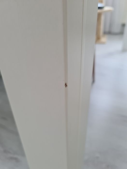 Masa extensibila 8 pers Mobexpert, 1200 lei neg.