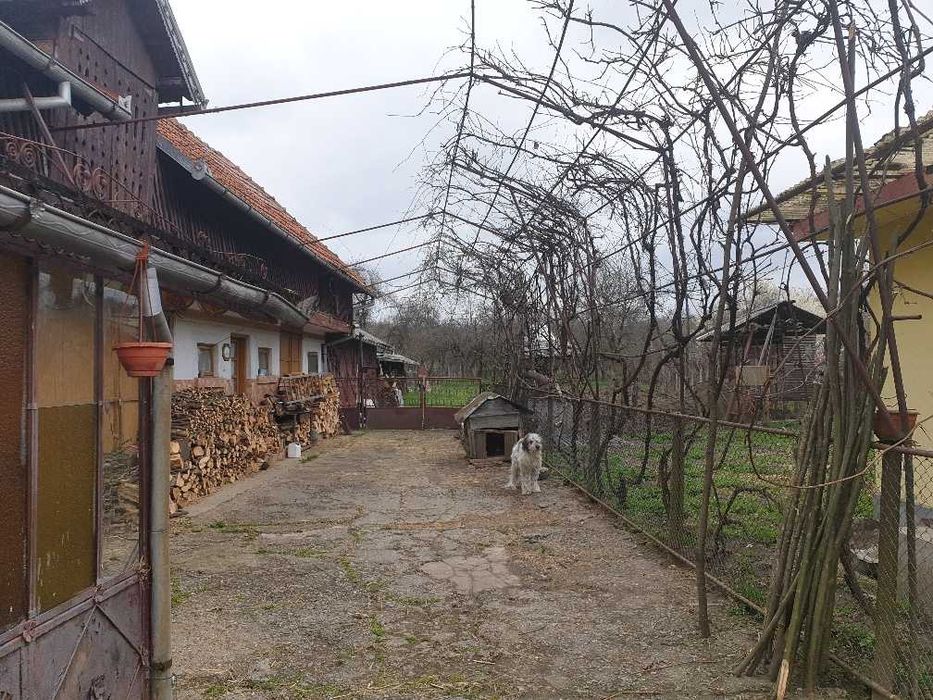 Vand casa cu livada  in Berevoesti Arges
