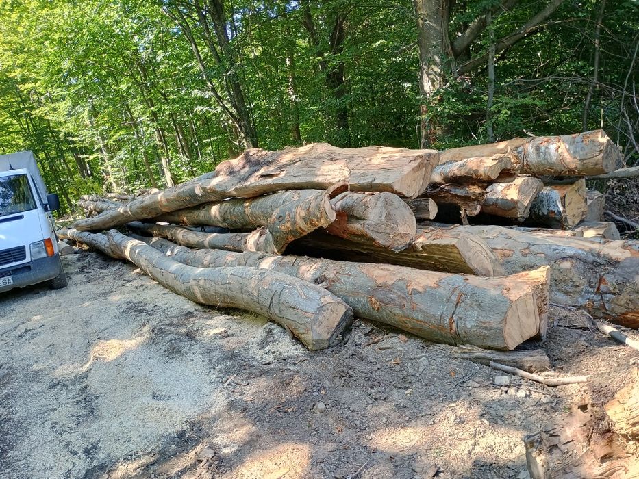 Lemne fag  350 lei mster