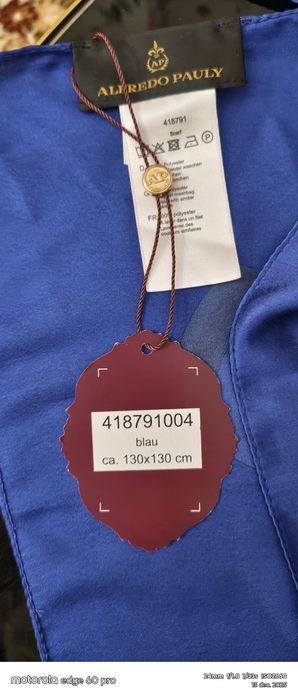 Alfredo Pauly- eșarfa noua