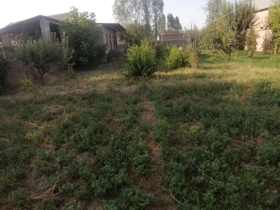 Kitob tumani Navqot qishlog'ida joylashgan 8 sutuk uy joy uchastkasi