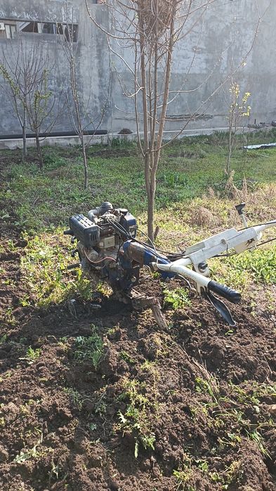 Yer haydash chopish tiplisa bog'larni haydash xizmat