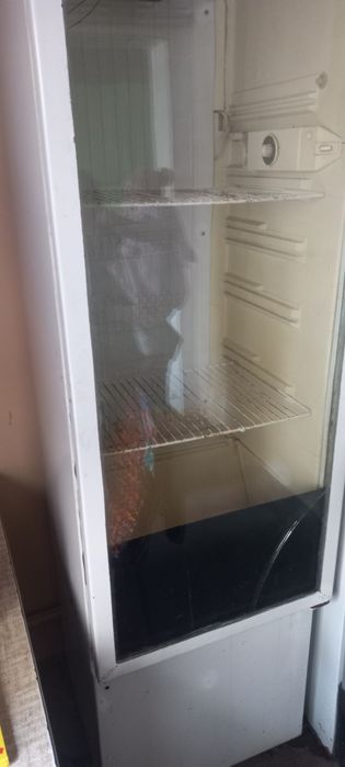 Muzlatgich Rassiyiski xolati yaxshi vitrina qilingan