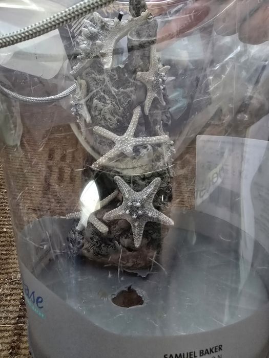 Vand biOrb 46132 Starfish Rock Ornament - decor detaliat