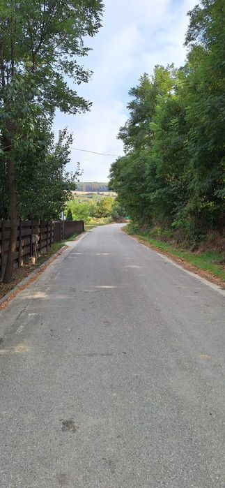 OAZA DE LINISTE SI NATURA! Casuta de Vacanta si Livada in Birnova (1700 mp intravilan - persoana fizica)