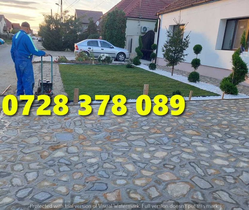 Gazon Rulou Pentru Curtea ta