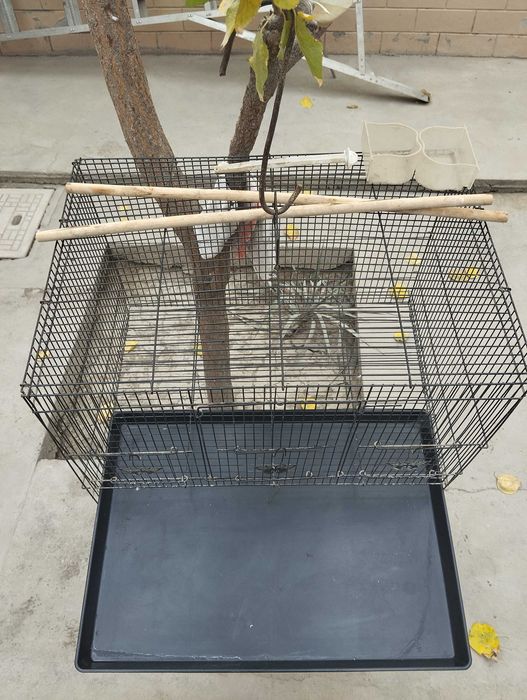 Клетка кушлар учун