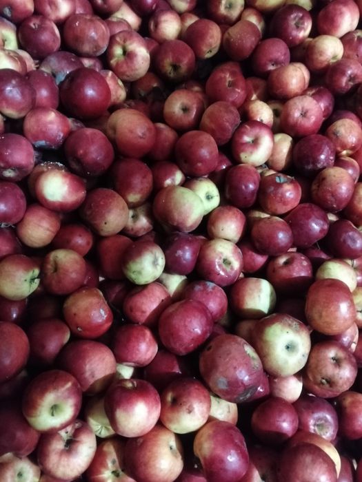 Mere Florian și Idared en- gros