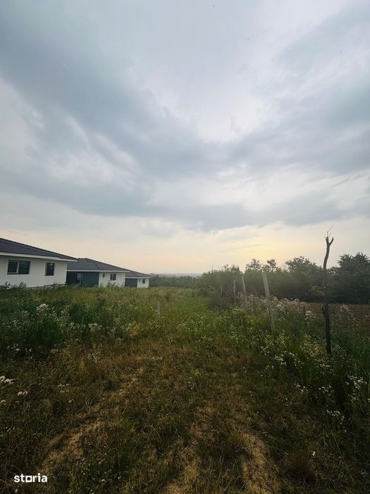 Teren intravilan de vânzare Paleu, zona Piersicilor langa padure