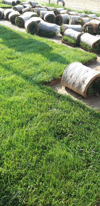 Газон доставка ва экиб бериш хизмати билан