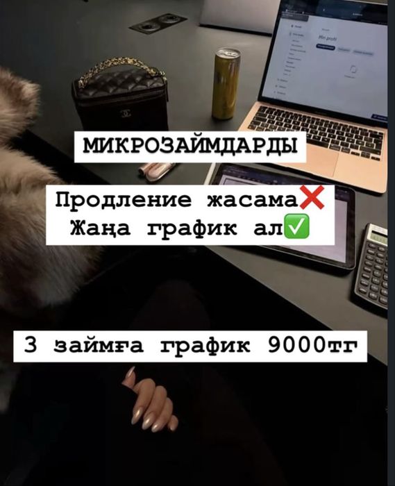 Арест шешу, мфо график