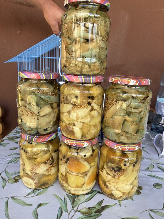 Hribi si iutari la otet
