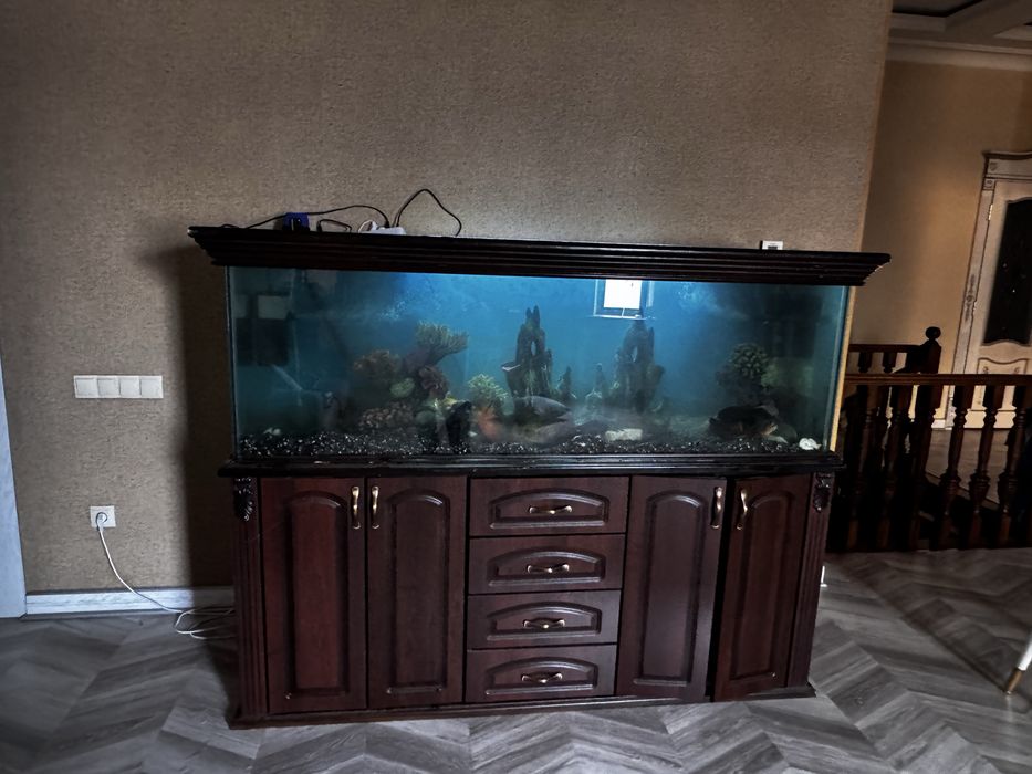 Аквариу 700 литров с тумбой, продается есть торг