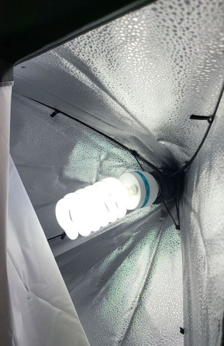 Софтбокс със стойка до 2,50 м