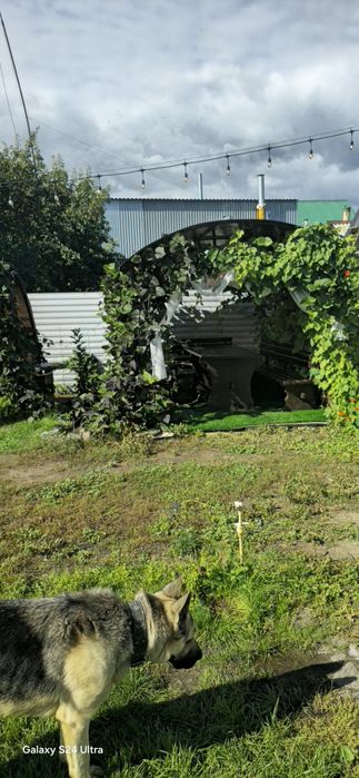 Сдам дом на долгую аренду