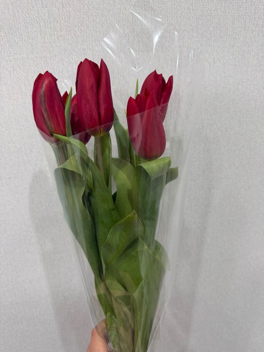 маленький букетик из тюльпан