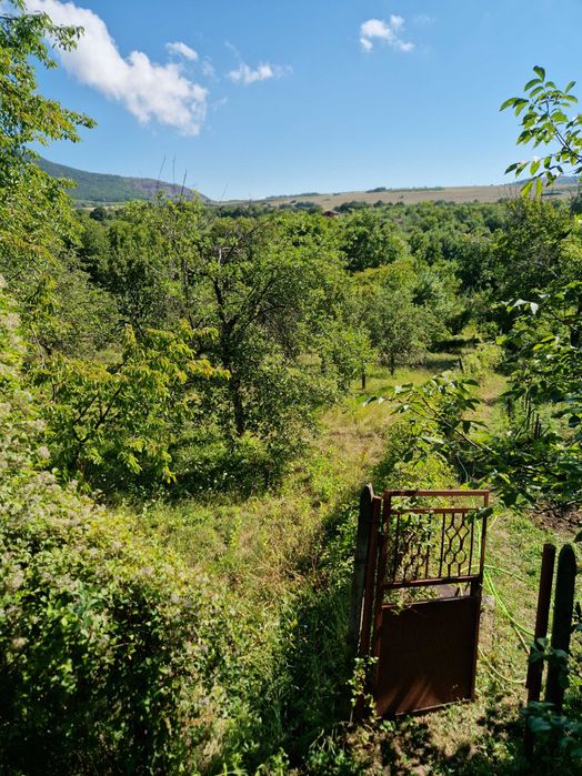 Продава се Парцел в с. Горна Козница, Област Кюстендил - 1485 кв.м за 5 €/кв.м - Снимка #14