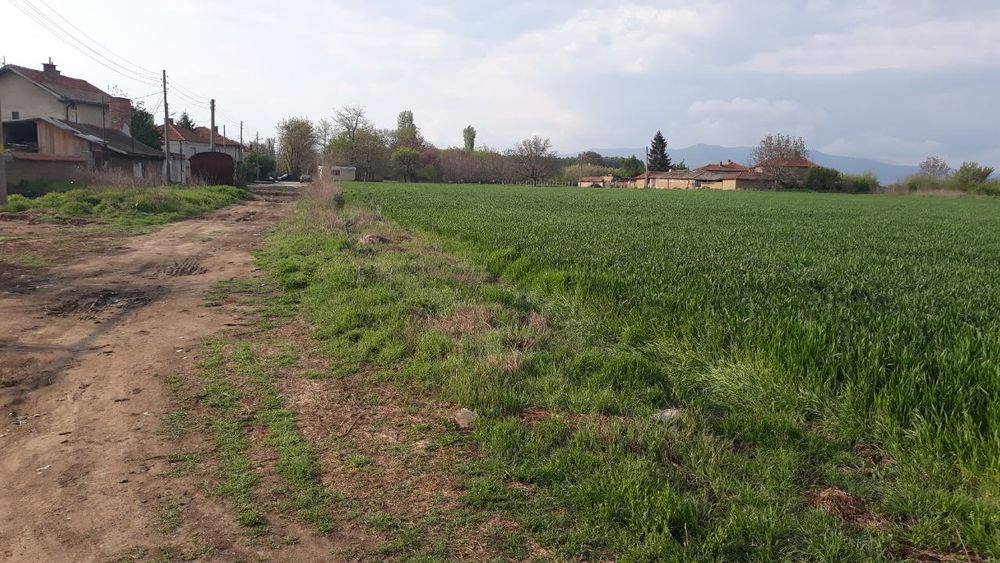 Продава се Парцел в с. Мало Конаре, Област Пазарджик - 13150 кв.м за 5 €/кв.м - Снимка #4