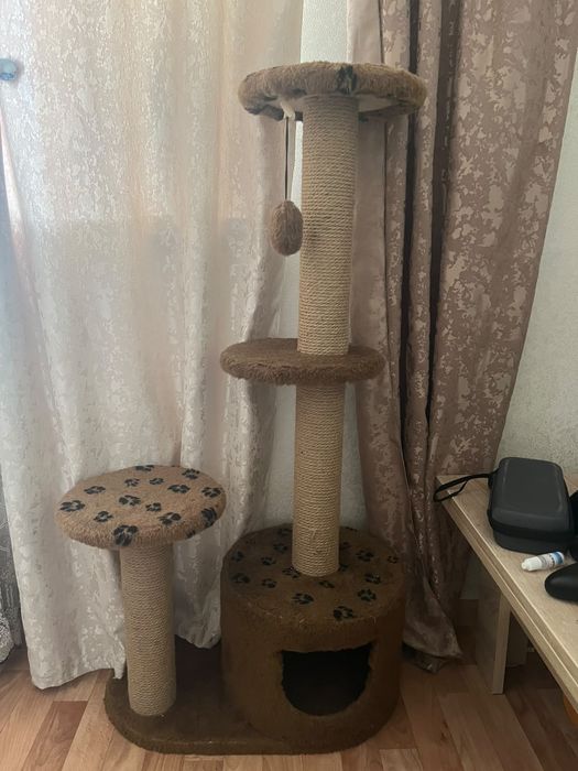 Когтеточка, кошачий дом