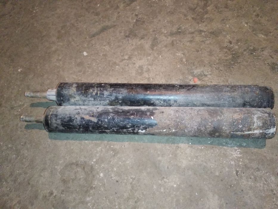 Amarzatr nexia 1  niki