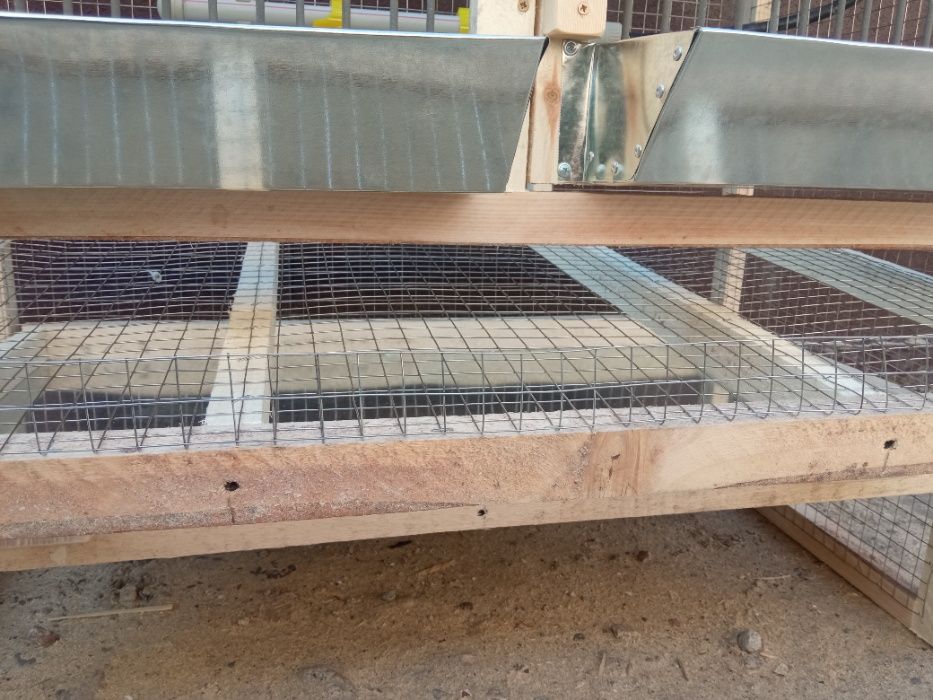 клетка для кур с откатом для яйц