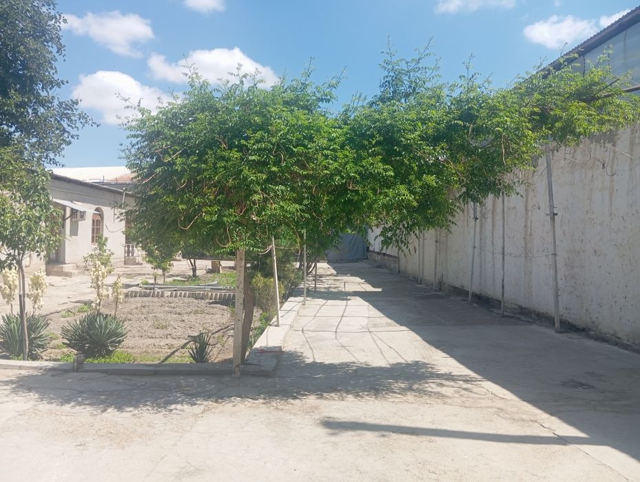 Uchastka sotiladi 14 sutiq ARENTR:KALXOZ BAZAR