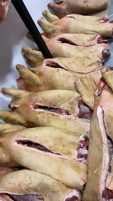 Продам мясо свинины