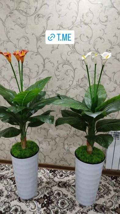 Katta Kala suniy dekarativ gullarimiz sotiladi