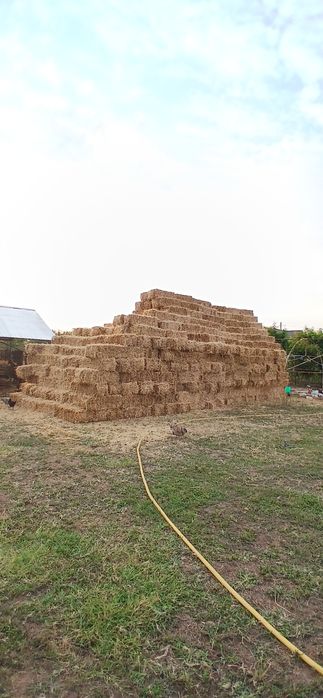 Vând baloți de paie