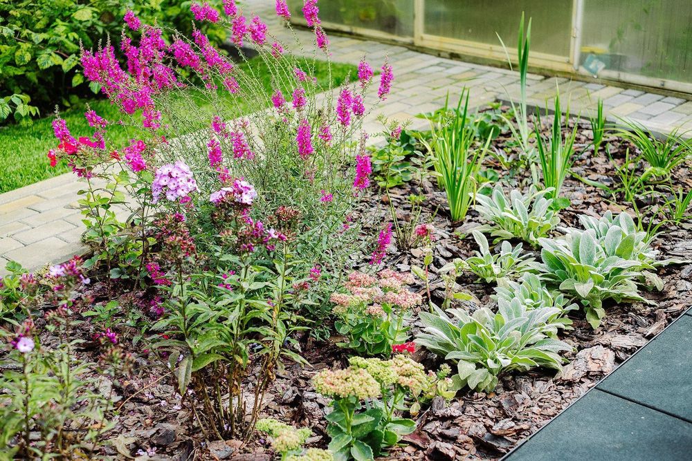 Озеленение | газон | автополив