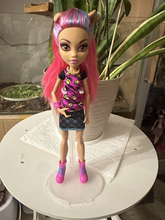 Куклы  монстр хай!