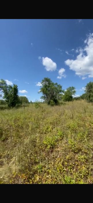 Teren Extravilan 22.565 mp – Ciomăgești, Argeș