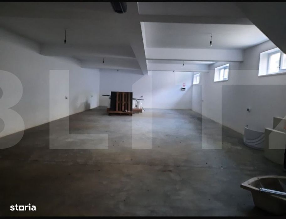 Casa+Spatiu Pentru Afacere/Locuit Iancu Jianu