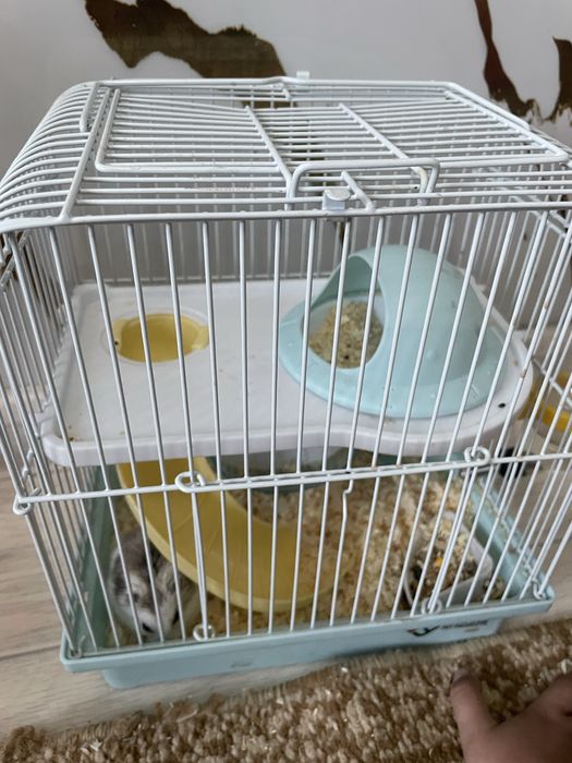 Продам хомяк с клеткой