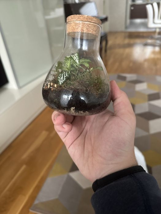 Уникален терариум