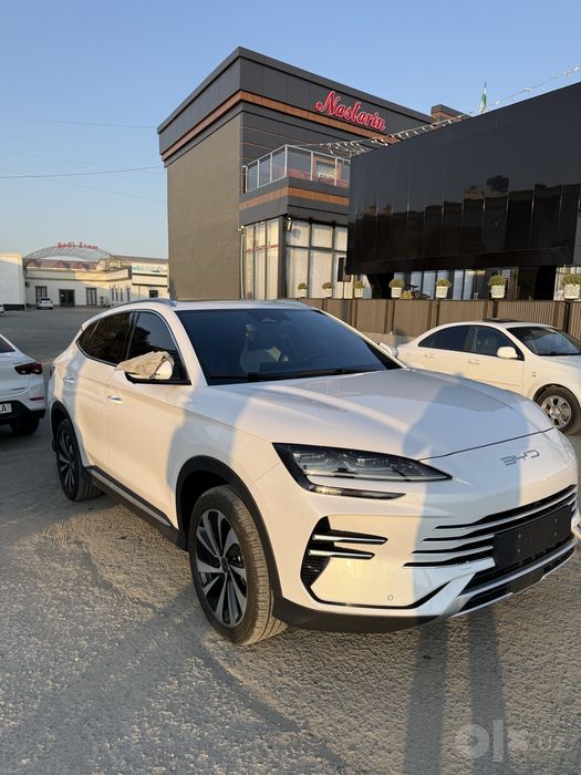 BYD champion gibrid 2025