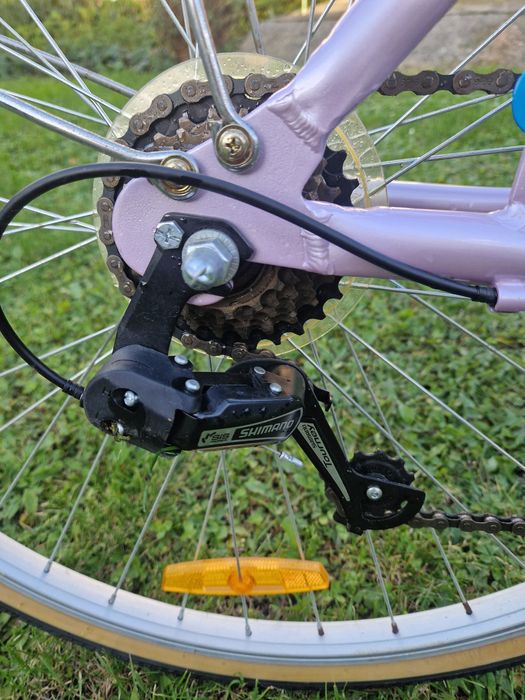 Bicicleta Pegas Citybike