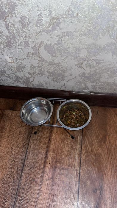 Отдаем кота в хорошие руки