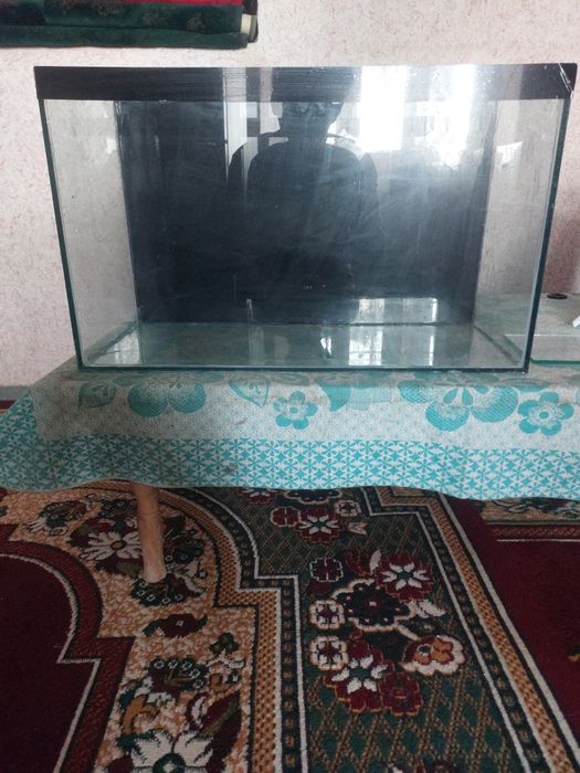 Akvaryum sotiladi 55litr