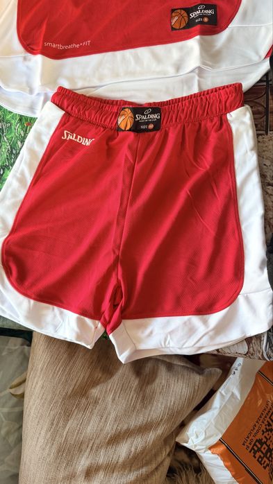 Echipament baschet