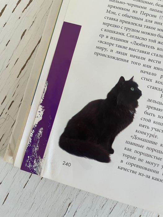 Энциклопедия про Кошек